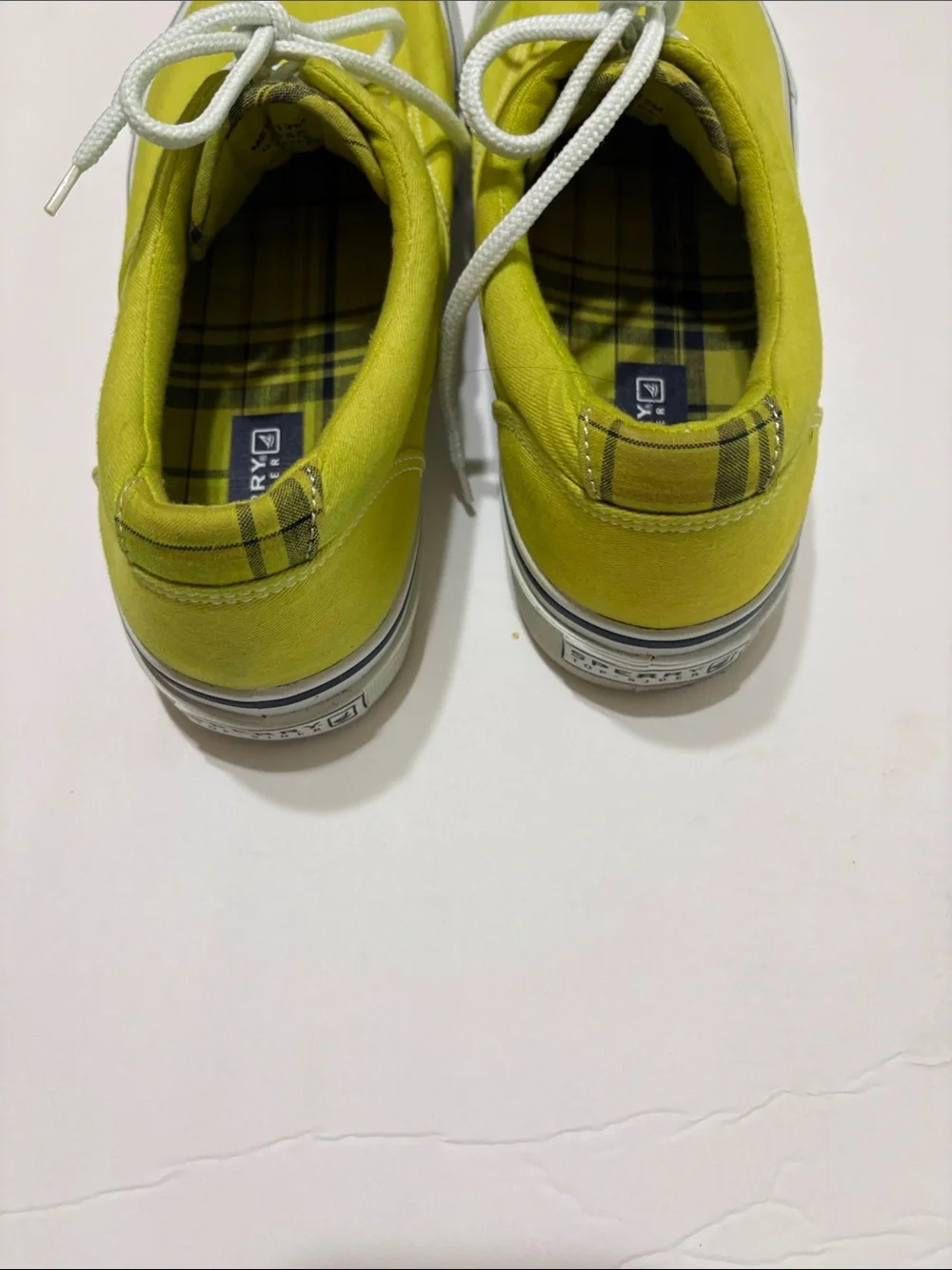 Sperry casual canvas